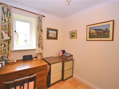 Picture 15